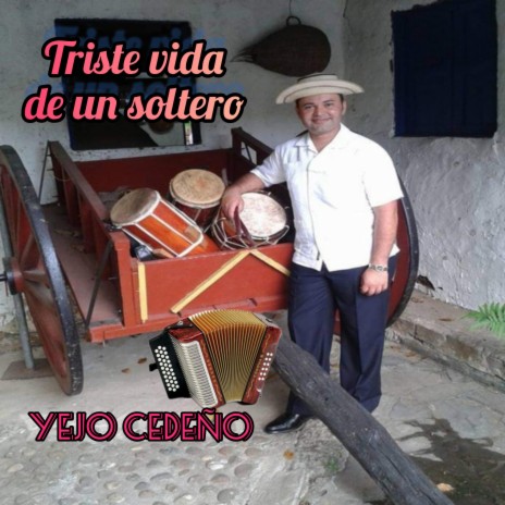 Triste vida de un soltero | Boomplay Music