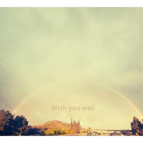 Wish You Well | Boomplay Music