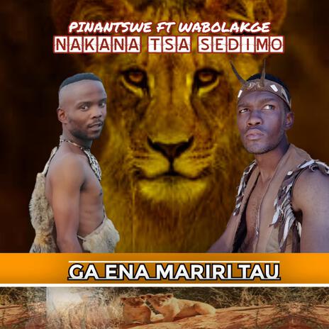 GAENA MARIRI TAU | Boomplay Music