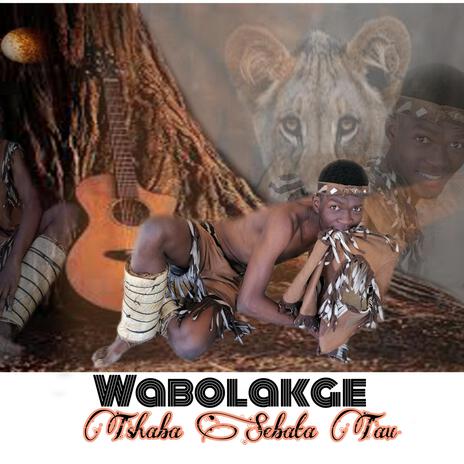 TSHABA SEBATA TAU | Boomplay Music