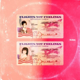 FLIGHTS NOT FEELINGS (REMIX) ft. Nate Curry lyrics | Boomplay Music