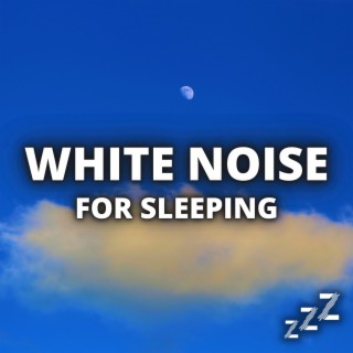 Gentle White Noise For Sleeping 10 Hours (Loopable, No Fade)