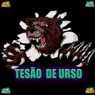 TESÃO DE URSO - ELE TE TACA TACA