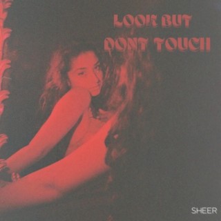 Look But Don't Touch