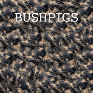 Bushpigs