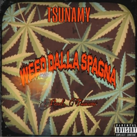 Weed dalla Spagna