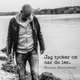 Jag Tycker Om När Du Ler