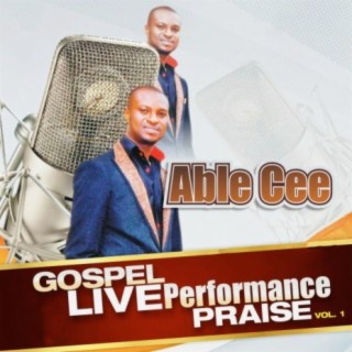Gospel Live Performance Praise vol. 1
