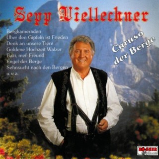 Sepp Viellechner