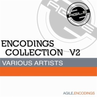 Encodings Collection V2