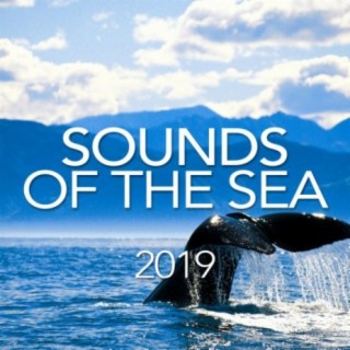 Sounds Of The Sea 2019