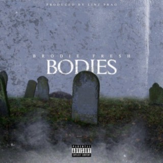 Bodies