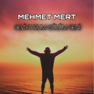 Mehmet Mert