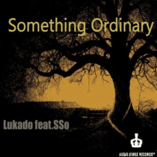 Something Ordinary