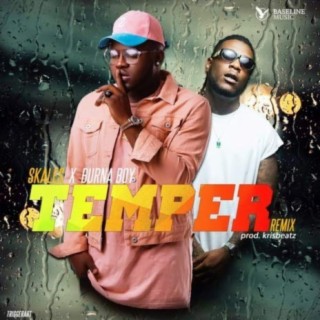 Temper (Remix) ft. Burna Boy lyrics | Boomplay Music