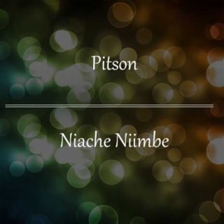 Niache Niimbe lyrics | Boomplay Music