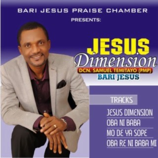 Jesus Dimension lyrics | Boomplay Music