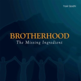 Brotherhood:Tthe Missing Ingredient