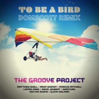 To Be a Bird (Domscott Remix)
