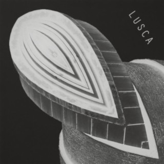 Lusca