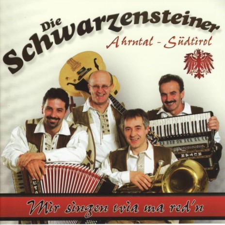 Schwarzensteiner-Polka | Boomplay Music