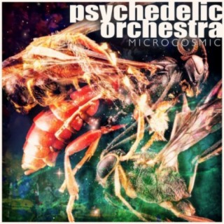 Psychedelic Orchestra