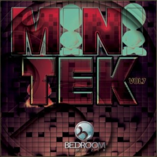 Mini Tek, Vol. 7