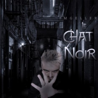 Le chat noir