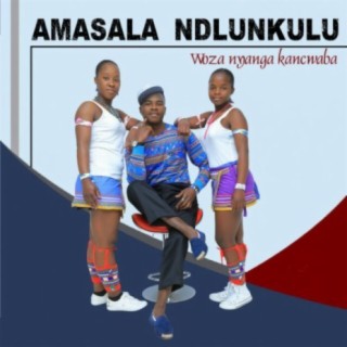 Amasala Ndlunkulu