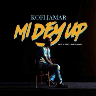 Mi Dey Up lyrics | Boomplay Music