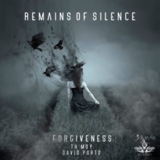 Remains Of Silence