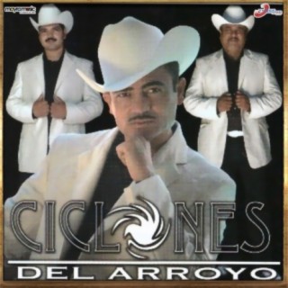 Ciclones Del Arroyo