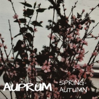 Spring-autumn