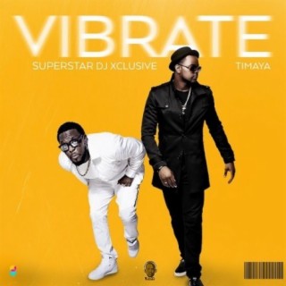 Vibrate ft. Timaya lyrics | Boomplay Music