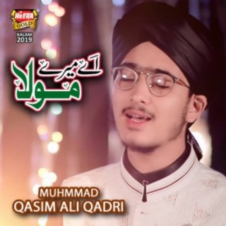 Muhammad Qasim Ali Qadri
