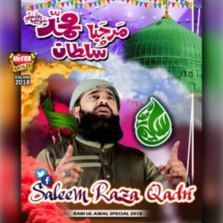 Saleem Raza Qadri