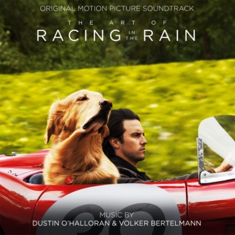 Birth (From "The Art of Racing in the Rain"/Score) ft. Volker Bertelmann | Boomplay Music