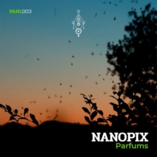 Nanopix