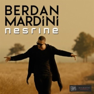 Berdan Mardini