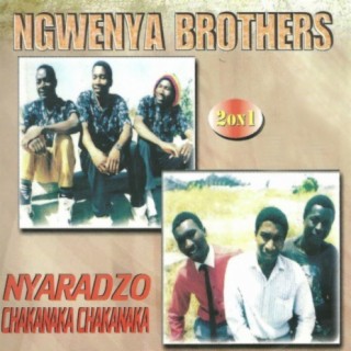 Ngwenya Brothers