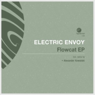 Electric Envoy