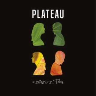 Plateau