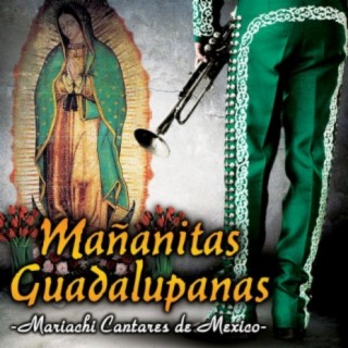 Mariachi Cantares De Mexico