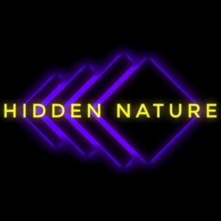 Hidden Nature