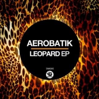 Aerobatik