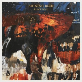 Shining Bird