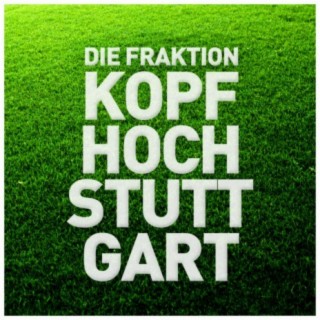 Die Fraktion