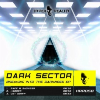 Dark Sector