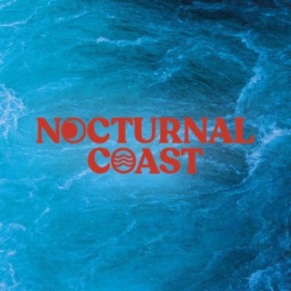 Nocturnal Coast