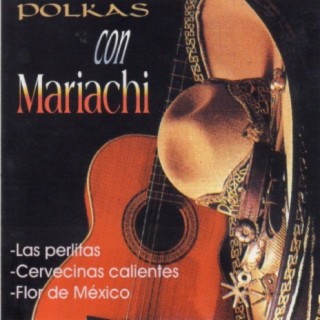 Polkas Con Mariachi